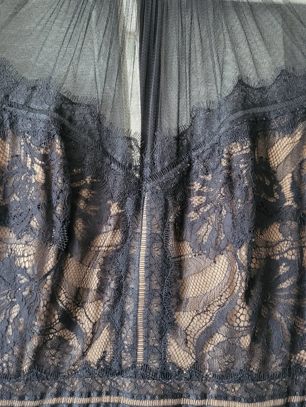 NWT Tadashi Shoji Camille Tea Length Lace Dress Black Nude Size 8 - Picture 4 of 9